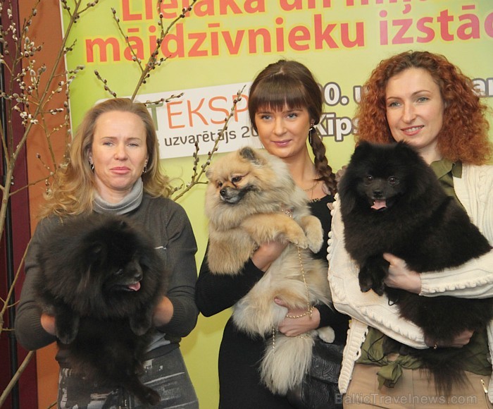 Tuvojas starptautiskajā mājdzīvnieku un zooindustrijas izstādē «Pet Ekspo» 30.03.-31.03.2013 - www.bt1.lv 90895