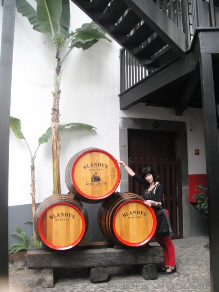 Garšīgākie un iecienītākie Madeiras vīni tiek karsēti saulē un lēni nobriedināti vīna noliktavās. Pārsvarā tie tiek gatavoti no Tinta Negra Mole vīnog 91097