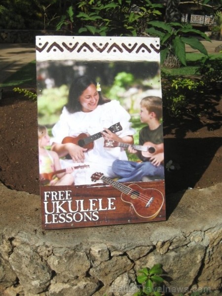 Ukulele - Havaju ģitāra, kas skan tik apskaužami liegi... Foto: www.lidojumi.lv 91490