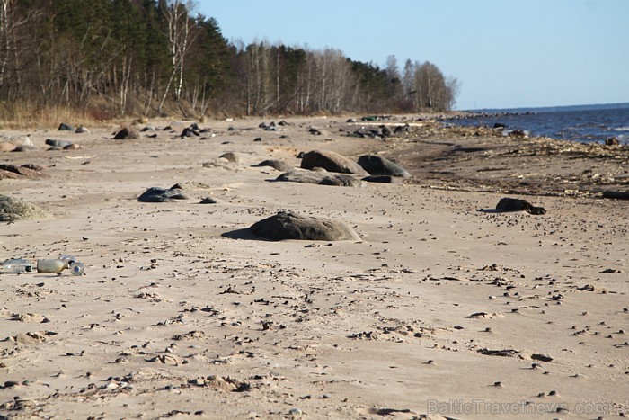 Lauču akmens Vidzemes jūrmalā 2013, aprīlis 92544