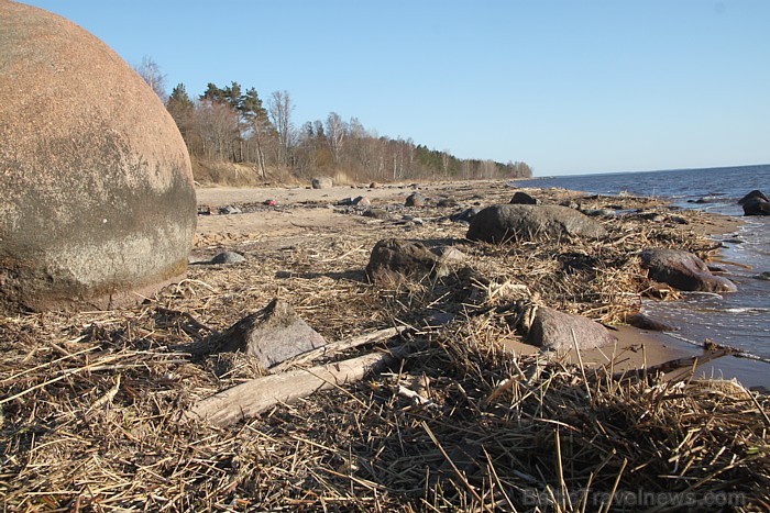 Lauču akmens Vidzemes jūrmalā 2013, aprīlis 92555