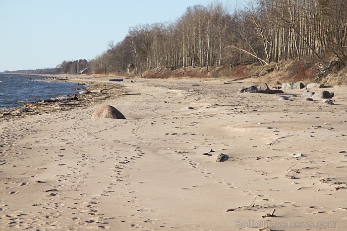 Lauču akmens Vidzemes jūrmalā 2013, aprīlis 92560