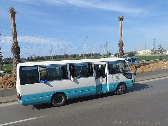 Starp Alžīrijas pilsētām ērti var pārvietoties, izmantojot autobusus. Degvielas cenas ir pietiekoši zemas (benzīns ~20.sant./l; dīzelis ~8 sant./l), l 93340