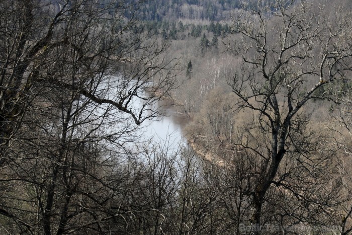 Siguldas Svētku laukumā 03. - 04.05.2013 norisinās 10. Stādu parāde, kas katru pavasari pulcina stādaudzētājus un dārzkopjus no visas Latvijas. Foto:  93391