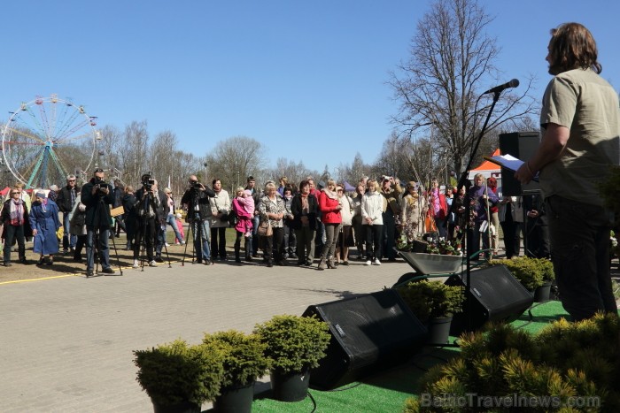 Siguldas Svētku laukumā 03. - 04.05.2013 norisinās 10. Stādu parāde, kas katru pavasari pulcina stādaudzētājus un dārzkopjus no visas Latvijas. Foto:  93402