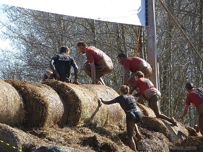 4. maijā kinopilsētā Cinevillā, «Stipro skrējiens» pulcēja Latvijas stiprākos ļaudis - www.parstipru.lv 93481