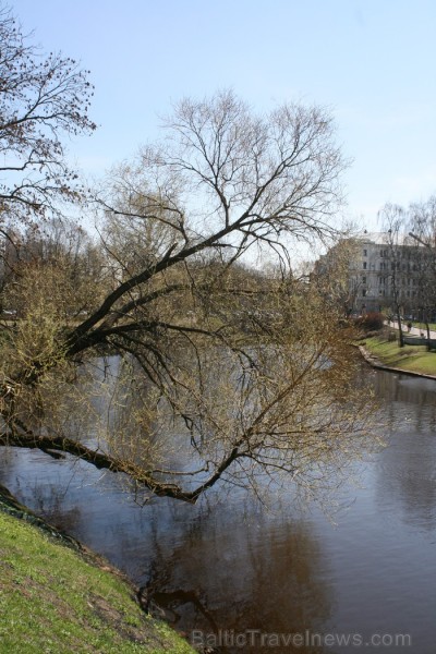 Rīgas parki ar plaukstošām lapām, čalojošās strūklakas un apstādījumi ar košiem ziediem sāk priecēt gan pilsētas iedzīvotājus, gan viesus. 93781