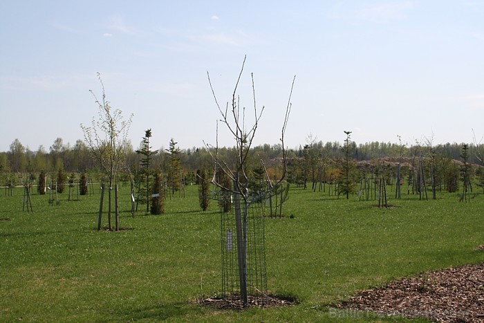 Ar pirmo 100 ābeļu iestādīšanu alejā 2005. gadā tika atklāts Likteņdārzs. 94341