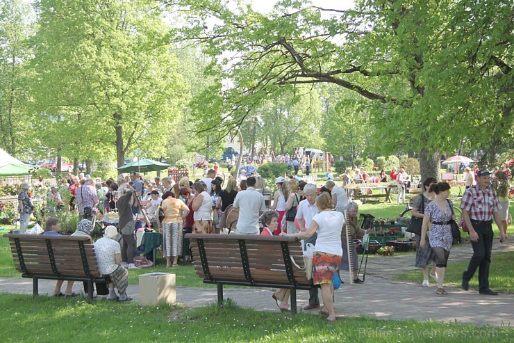 Jaunatnes (Gulbīšu) parks ar Zaļo tirdziņu 94449