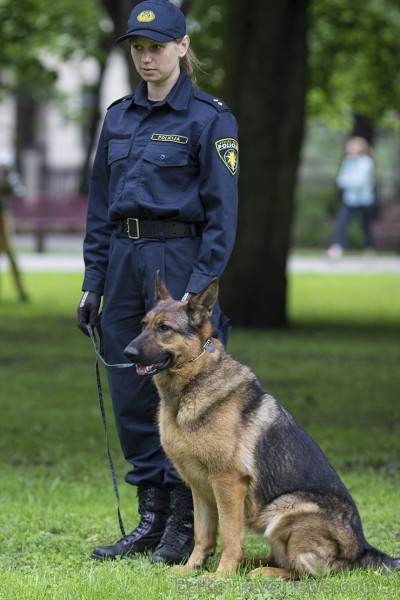 Pasākuma norises teritorijā savas prasmes demonstrēja arī Valsts Policijas, Valsts ieņēmumu dienesta un Valsts robežsardzes suņi 94838