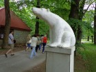 Ieeju Toila Oru parkā rotā divi baltie lāči 1