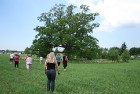 Juuru dižozoli - svētie koki. Pirmā ozola apkārtmērs 3,75 metri, otrā - 4,20 metri. Runā, ka starp diviem ozoliem bijusi baznīca, kas diemžēl nogrimus 9