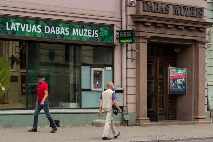 Latvijas Dabas muzejā apskatāms Rožu dārzs 99064