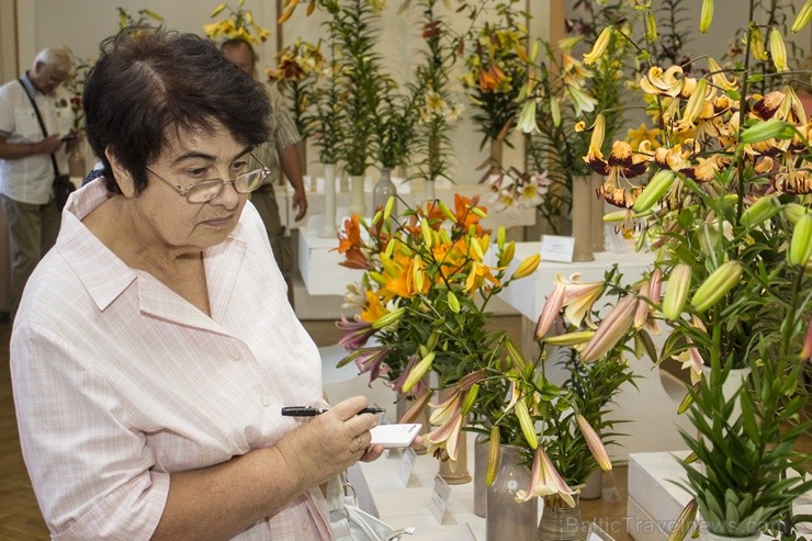 Dabas muzejā apskatāma izstāde «Cēlās lilijas» 100424