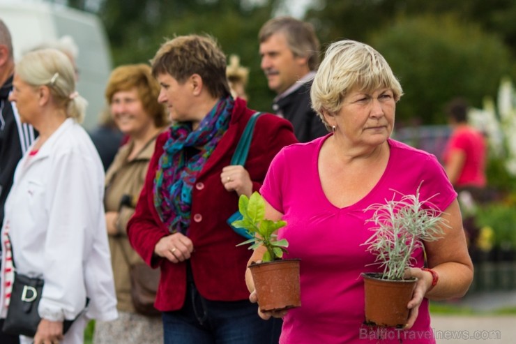 Rožu dienas Salaspils botāniskajā dārzā pulcē tūkstošiem interesentu 100612