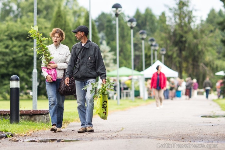 Rožu dienas Salaspils botāniskajā dārzā pulcē tūkstošiem interesentu 100613