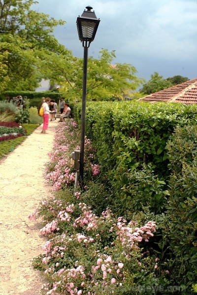 Balčika dārzs ir kādreizējās Rumānijas karalines Marijas vasaras rezidences, tajā atrodas arī botāniskais dārzs,  kurā ir vairāk nekā 3000 augu veidu. 101011