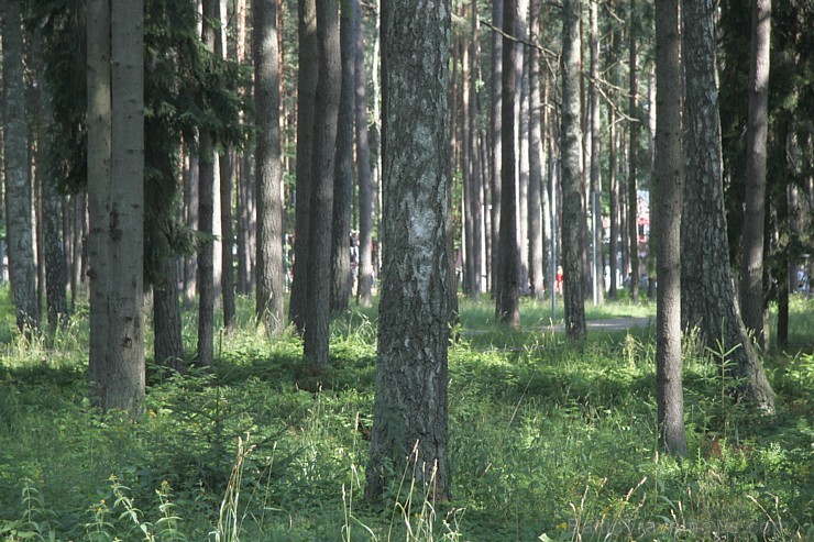 Jūrmala 2013 - www.tourism.jurmala.lv 101756