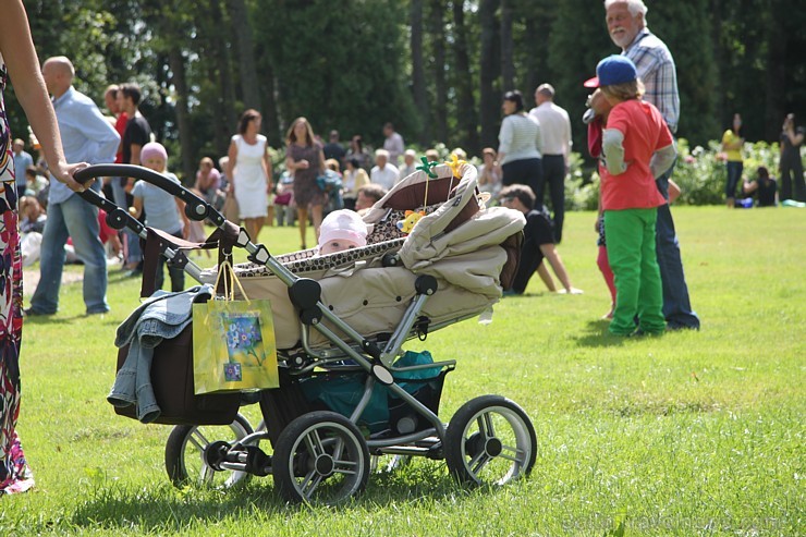 Dikļu pils parkā jau ceturto reizi norisinājās Dārza svētki, kas vienlaikus bija arī 10 gadu jubilejas svinības pēc pils rekonstrukcijas - www.Diklupi 103037