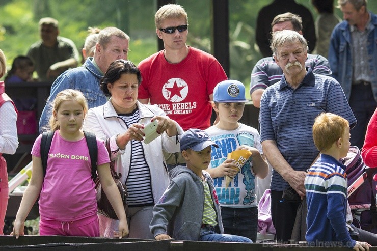 Ir nosvērtas 20 gadus vecās Galapagu bruņrupucienes Trīne un Čelsija 103354