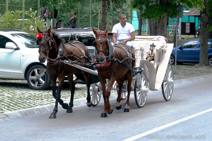 Kūrorts ir ekoloģiski tīrs, tāpēc ir neierasts transports - karietes, velorikšas, mini vilcieni.
Foto sponsors: www.novatours.lv 103685