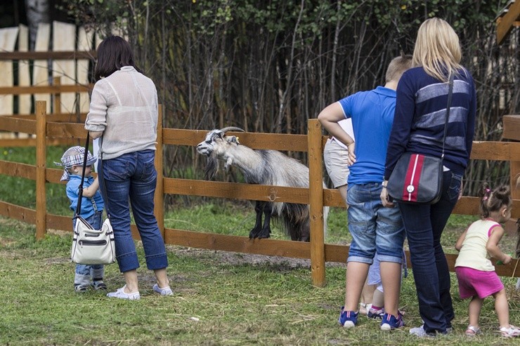 Pik Nik parks Rīgā piedāvā katram parka apmeklētājam atbilstošas atrakcijas - www.piknikparks.lv 104072