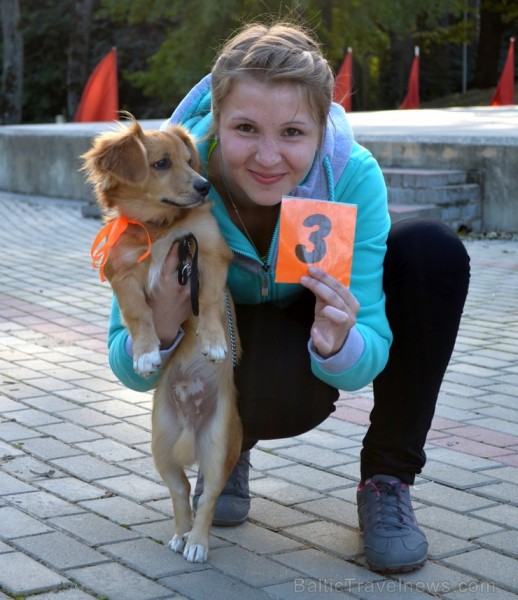 Vasaras izskaņā, 24. augustā, Krāslavas pilsētas estrādi pārņēma svētku noskaņa. Un ne velti! Jo te notika otrais Rudo saiets. Foto: www.visitkraslava 104292