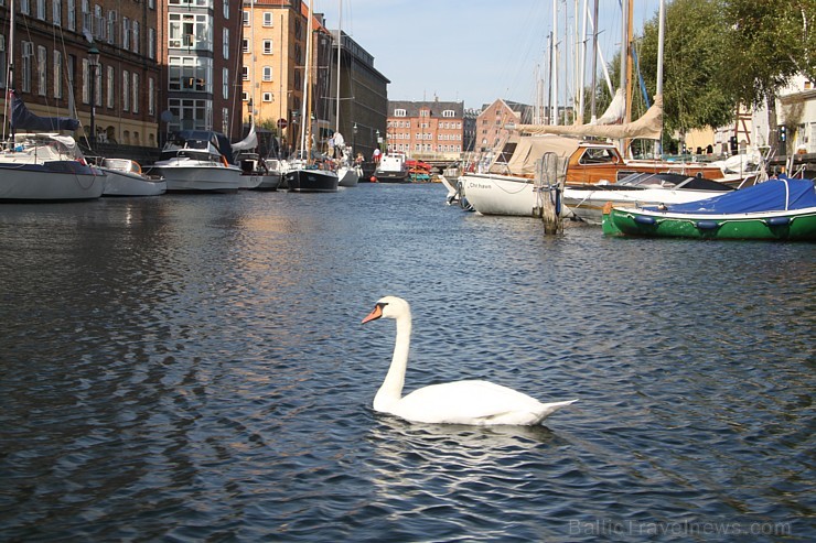 Dānijas galvaspilsēta Kopenhāgena no kanāla tūres skatupunkta - www.visitcopenhagen.com 105696