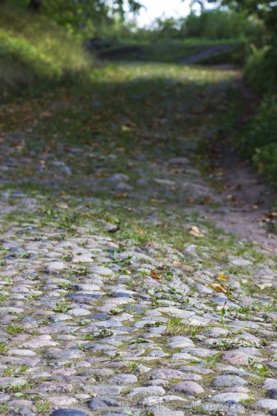 Mazsalacas skolēni ikdienu pavada Valtenberģu muižā 105970