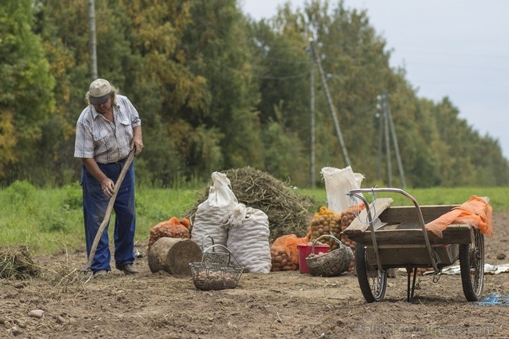 Mazsalaca pārsteidz ar latvisku vidi, interesantu ainavu un koka apbūvi 106032