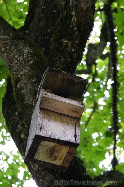 Ērberģes muižā, kas atrodas Neretas novadā, pamazām ienāk zelta rudens 106295