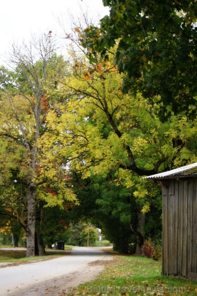 Ērberģes muižā, kas atrodas Neretas novadā, pamazām ienāk zelta rudens 106310