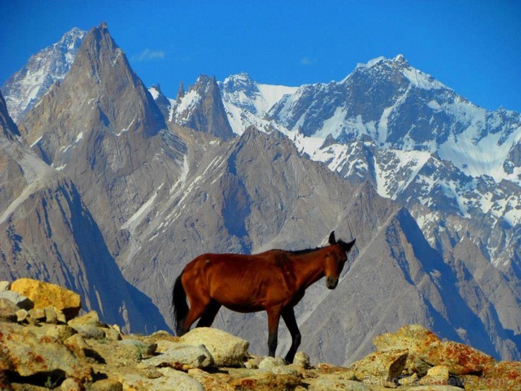 6611m augsto Paiju virsotni, protams, nemēģinājām sasniegt, jo tā pa spēkam ir tikai rūdītiem kalnā kāpējiem, bet pakāpāmies augstāk, lai varētu labāk 106601