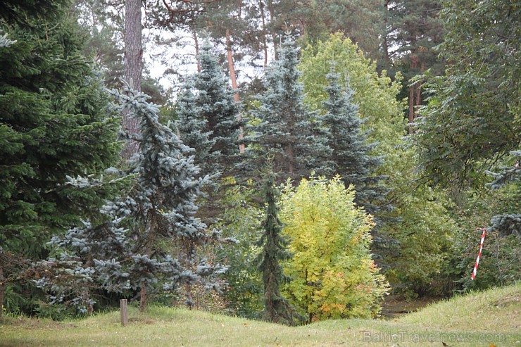 Dendroloģiskais parks Lazdukalns Ogrē - www.LatvijasCentrs.lv 106925