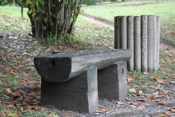 Dendroloģiskais parks Lazdukalns Ogrē - www.LatvijasCentrs.lv 106929