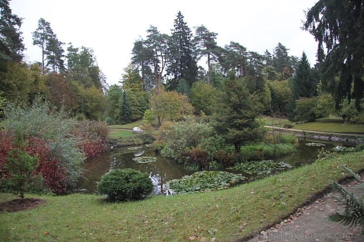 Dendroloģiskais parks Lazdukalns Ogrē - www.LatvijasCentrs.lv 106937