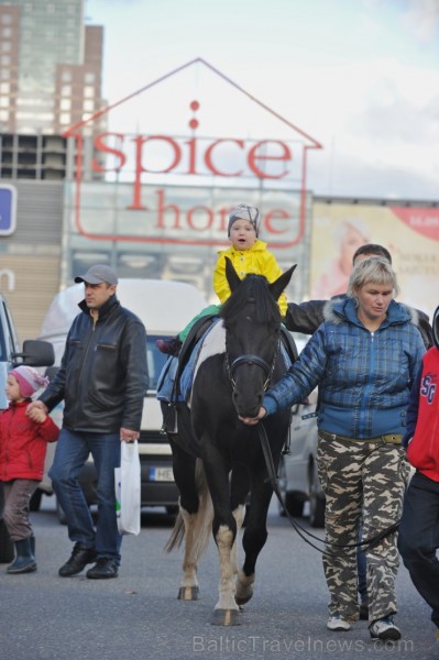 Nedēļas nogalē, 27. un 28. septembrī, Lauku labumu tirdziņā pie tirdzniecības kompleksa Spice, norisinājās Lielāko dārza velšu parāde, kurā apmeklētāj 107051