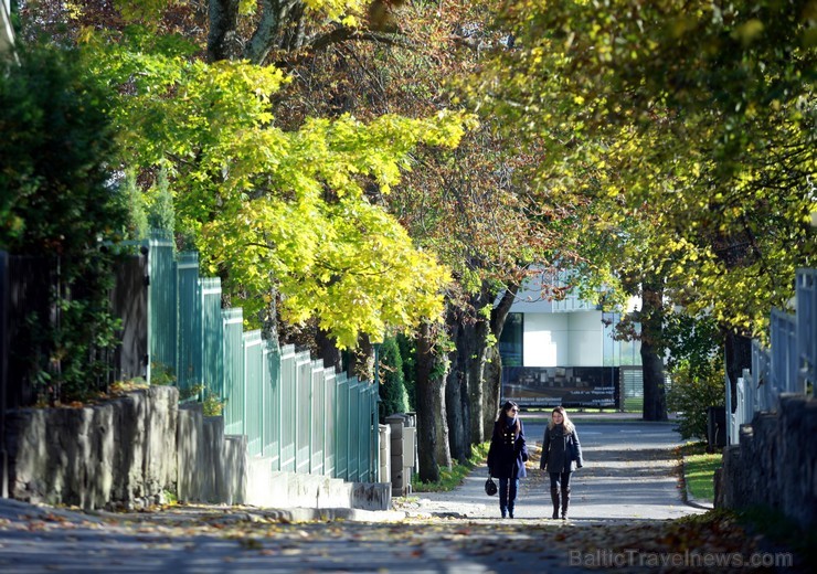 Jūrmalā sestdien, 05.10.2013, ar plašu kultūras pasākumu programmu Majoru stāvlaukumā un Horna dārzā – koncertiem uz divām skatuvēm un bagātīgu rudens 107257