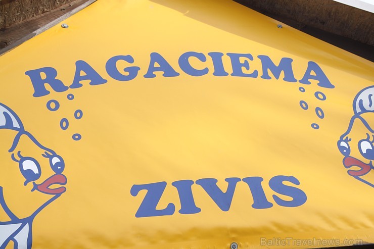 Ragaciema zivju tirdziņš 107300