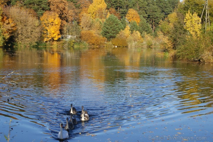 Rudens burvība ir pārņēmusi Sēliju. Travelnews.lv redakcija apmeklē Neretu, novadu pašā Latvijas - Lietuvas pierobežā 107452