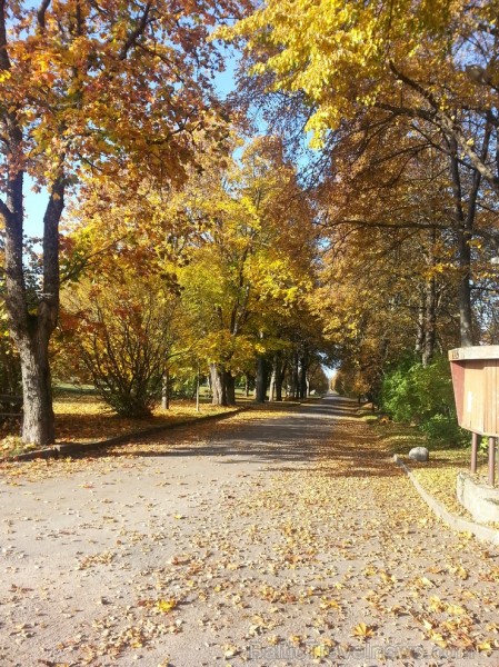 Ventspils TIC iesaka doties Zelta rudens ekskursijā par Ventspils novadu. Maršruts: Ventspils- Vārve- Zūras- Vendzavas- Zlēkas- Piltene- Landze- Vents 107578