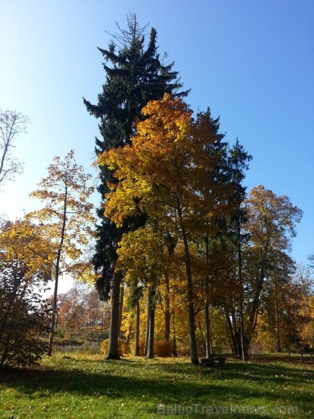 Ventspils TIC iesaka doties Zelta rudens ekskursijā par Ventspils novadu. Maršruts: Ventspils- Vārve- Zūras- Vendzavas- Zlēkas- Piltene- Landze- Vents 107591