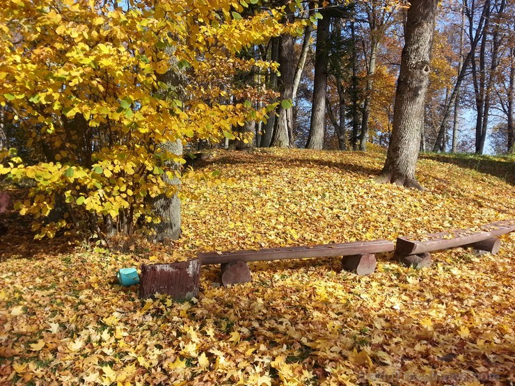 Ventspils TIC iesaka doties Zelta rudens ekskursijā par Ventspils novadu. Maršruts: Ventspils- Vārve- Zūras- Vendzavas- Zlēkas- Piltene- Landze- Vents 107594