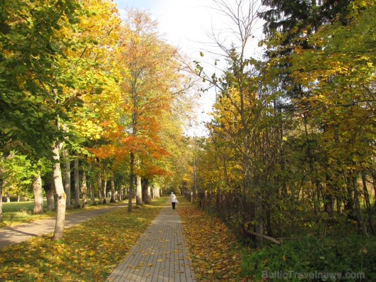 Ventspils TIC iesaka iepazīt Popi zelta rudens laikā 107691