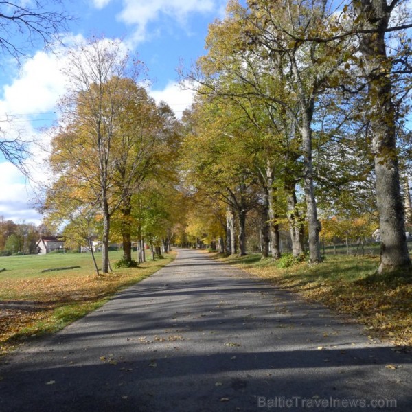 Ventspils TIC iesaka iepazīt Popi zelta rudens laikā 107692