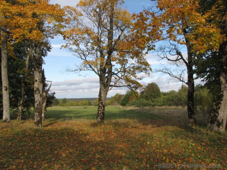 Ventspils TIC iesaka iepazīt Popi zelta rudens laikā 107694