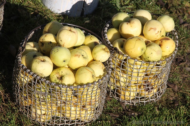 Rudens izglezno Latgali - Krāslavas novads. Foto sponsors: www.Sirsnigi.lv 107845