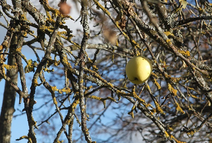 Rudens izglezno Latgali - Krāslavas novads. Foto sponsors: www.Sirsnigi.lv 107846