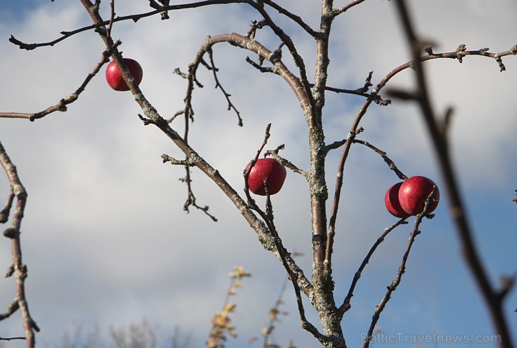 Rudens izglezno Latgali - Krāslavas novads. Foto sponsors: www.Sirsnigi.lv 107847