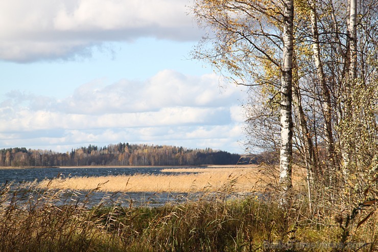 Rudens izglezno Latgali - Krāslavas novads - Sivera ezers, kas ir devītais lielākais Latvijā. Foto sponsors: www.Sirsnigi.lv 107853